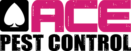 Ace Pest Control