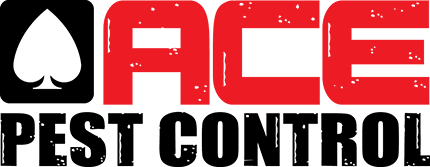 Ace Pest Control