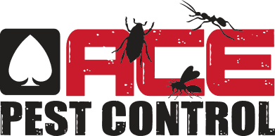 Ace Pest Control